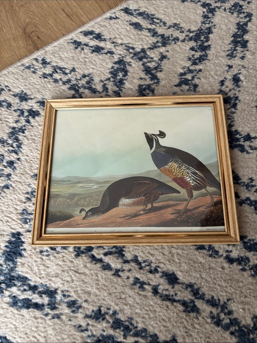 Vintage Framed Partridge Print